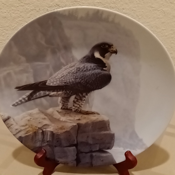 Collector Plate - Picture 8 of 10